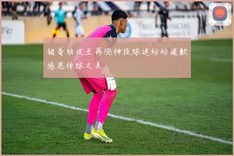 错哥助攻王再现神技球迷纷纷道歉感恩传球之美